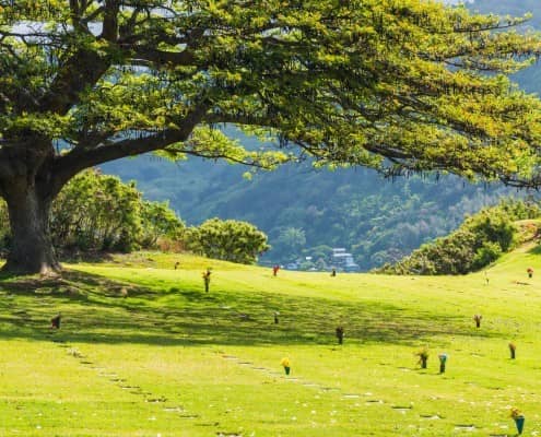 Punchbowl National Cemetery