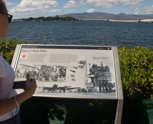 Visitor Center Interpretive Displays