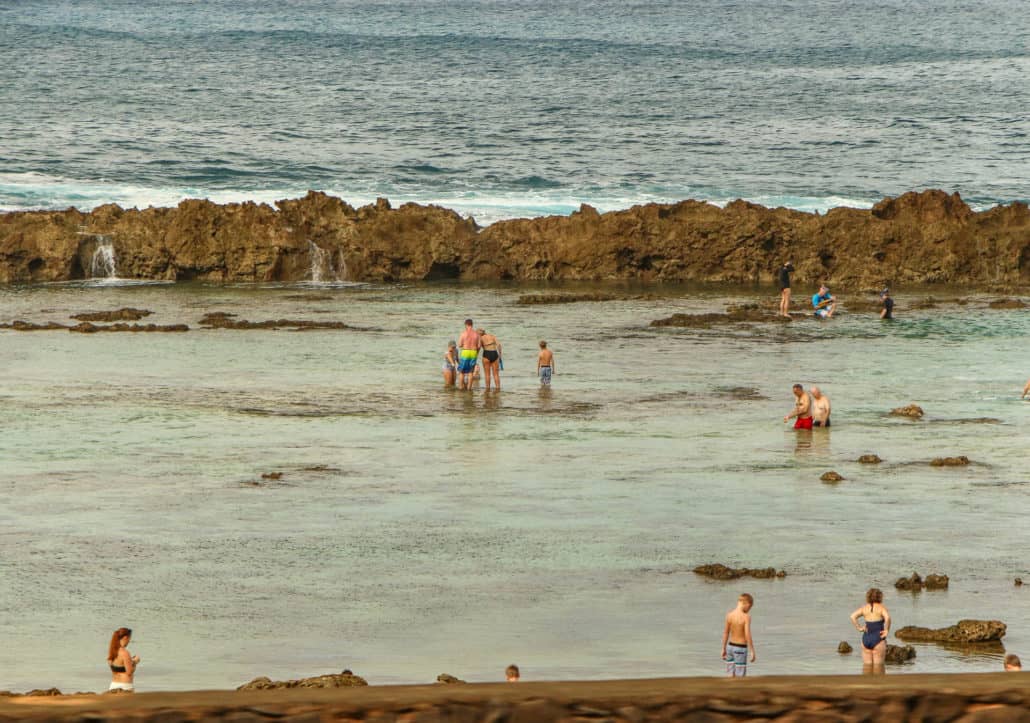 North Shore Tide Pool Swimmers