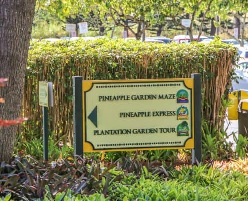 Dole Plantation Directional Sign