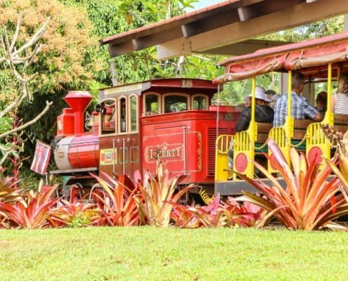 Train Tour at Dole Plantation