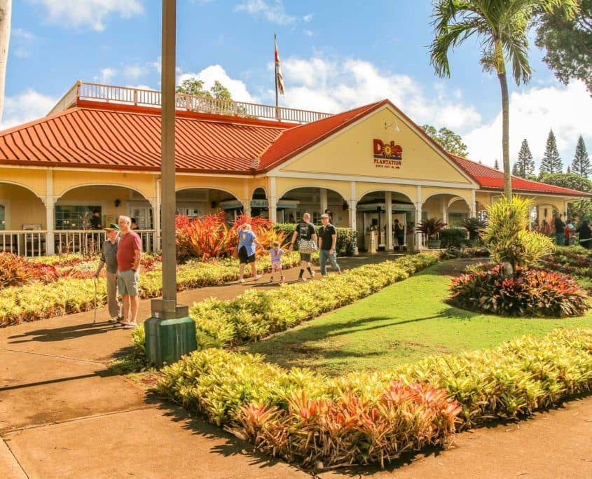 Walkway at Dole Plantation Entrance