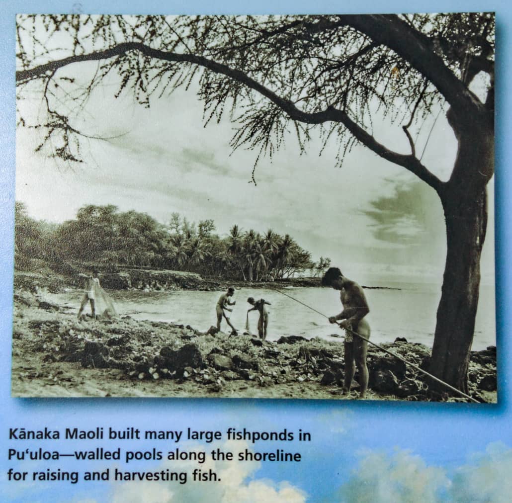 Native Hawaiians Fishing at Pearl Harbor Photo Sign late 1800’s