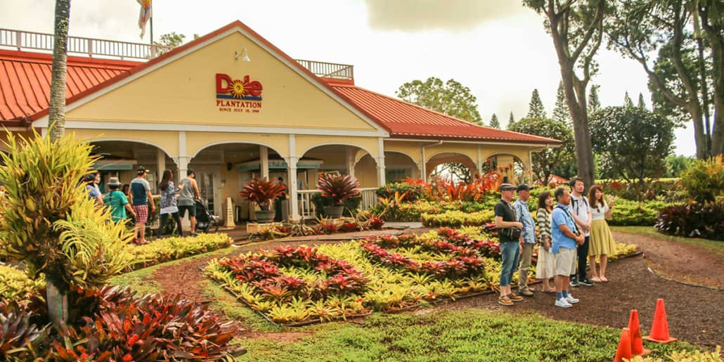 dole plantation tour maui