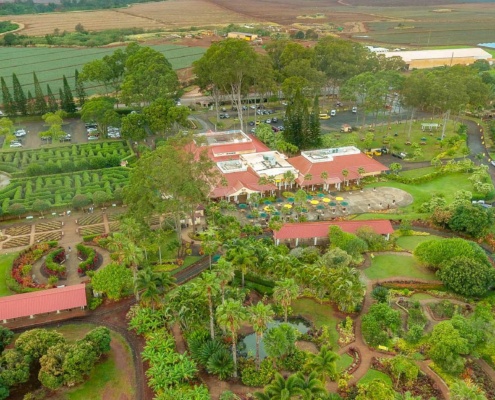 Dole Pineapple Plantation Aerial