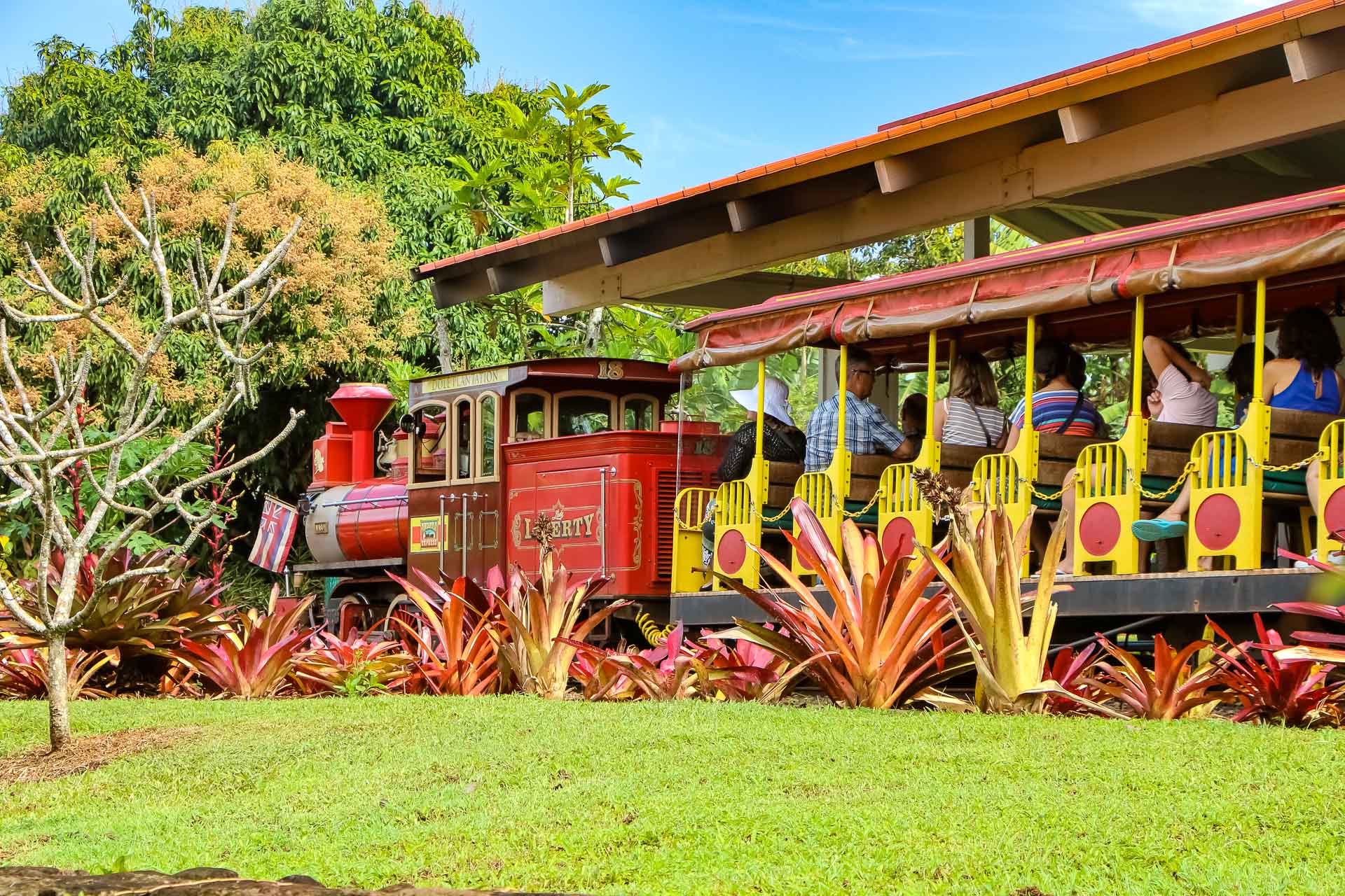 dole pineapple plantation tour