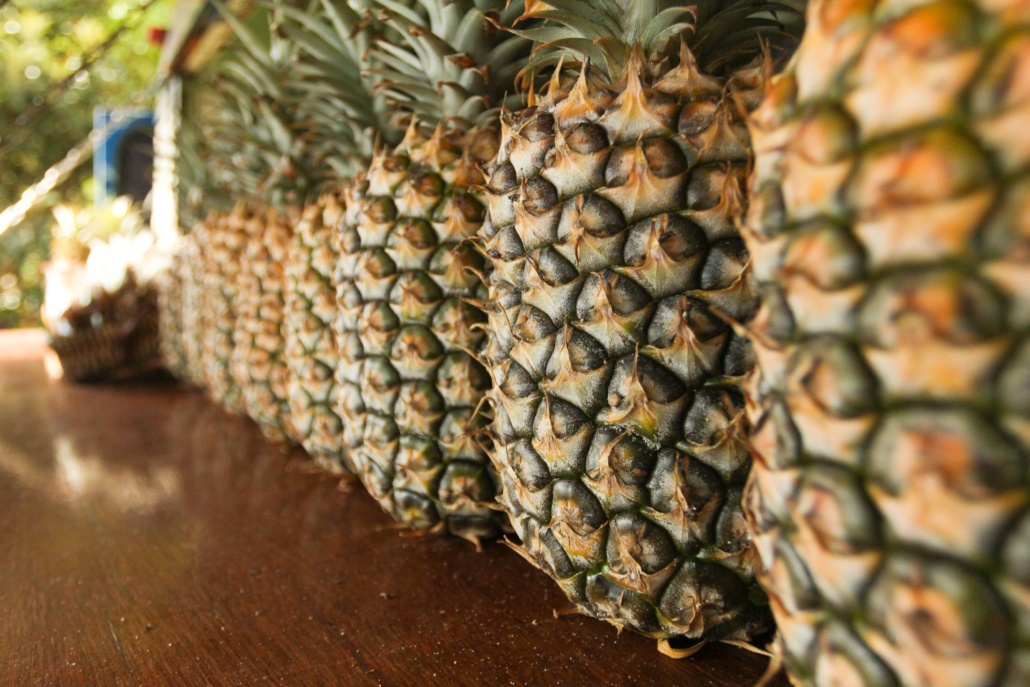 Pineapple Lineup at Hawaii Fruit Stand