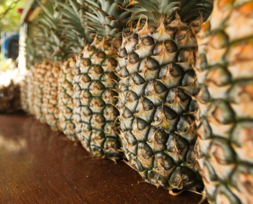 Pineapple Lineup at Hawaii Fruit Stand