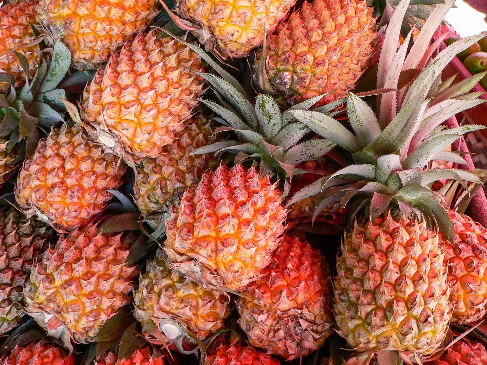 Pineapple History in Hawaii, Europe & More History, Info & Varieties