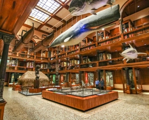 Bishop Museum Hawaiian Hall