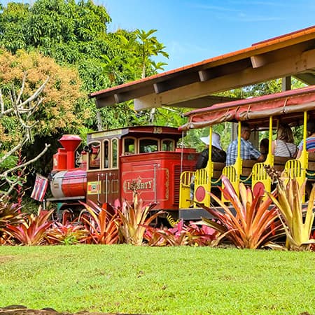 Hawaii Best Tour Dole Plantation Train