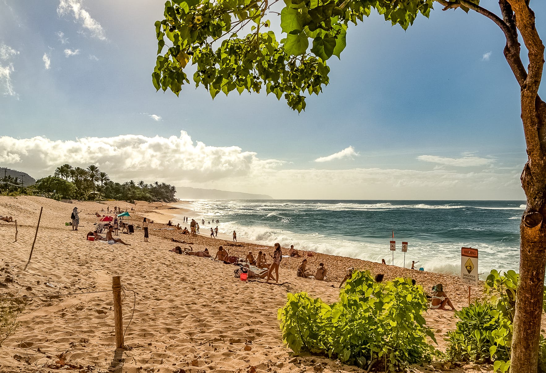 North Shore Beaches wide Oahu