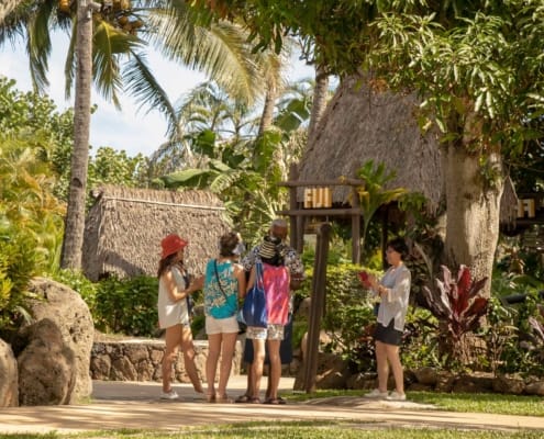 Fiji Village Guests