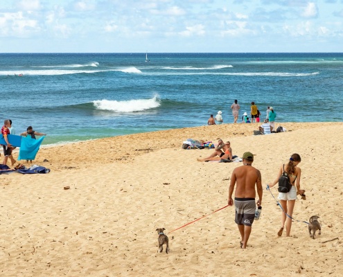 Sunset Beach and Dogs North Shore Oahu