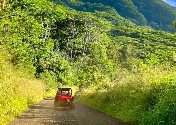 a comfortable open air ride through the scenic trails kauai atv