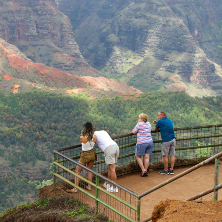 waimea canyon kokee sightseeing product image