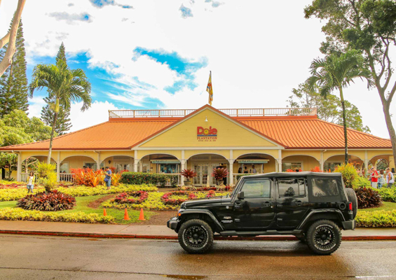 all inclusive vacation package slider dole