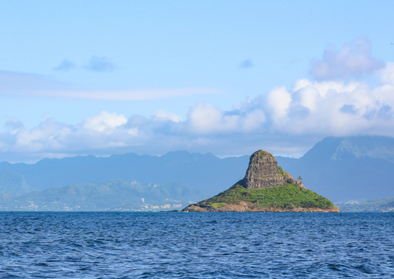 alohahawaiitours sightsbites oahui tour island slider
