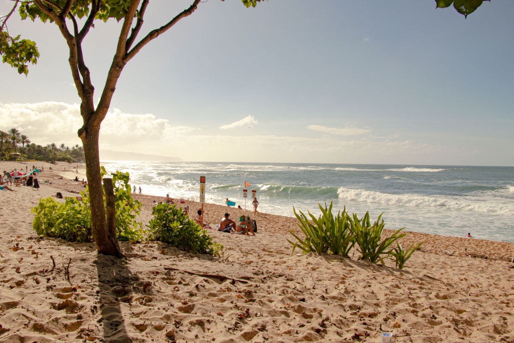 beautiful pic of the north shore oahu beaches