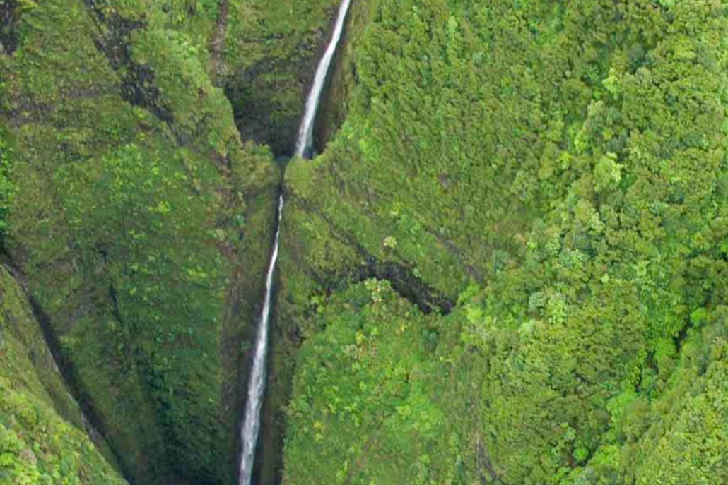 bluehawaiian oahu helicopter tour sacred falls 