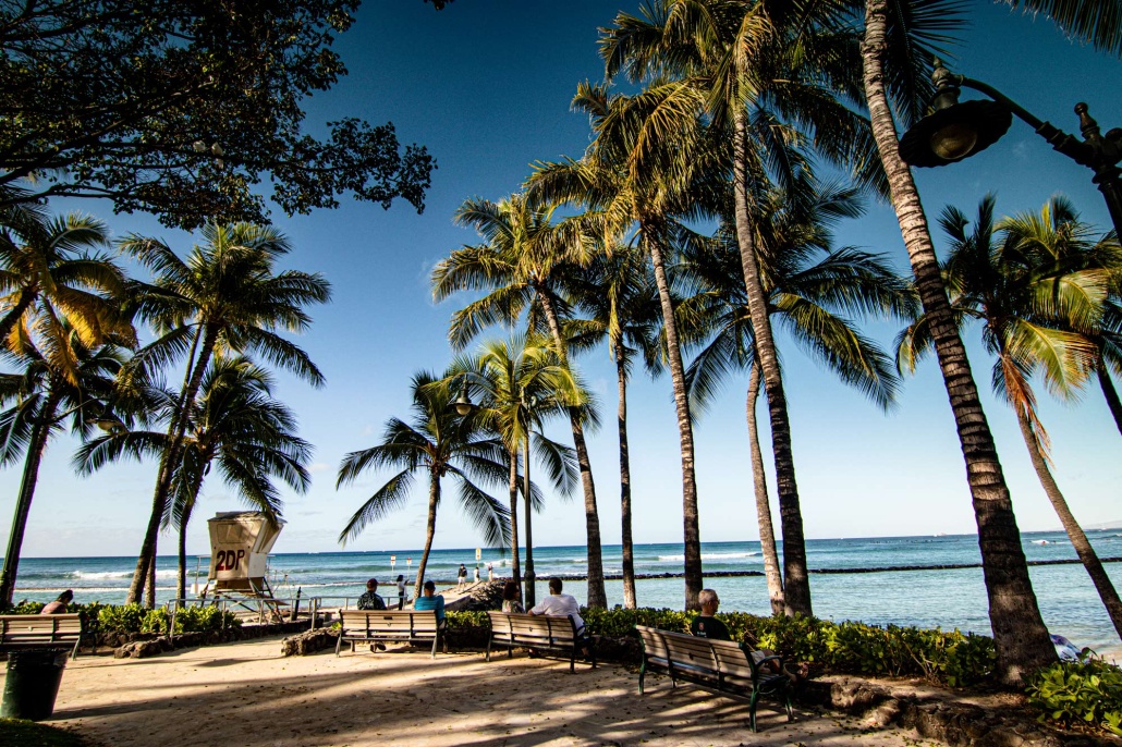 palm trees on sandy waikiki beach and blue sea oahu hawaii