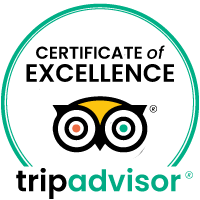 Tripadvisor reviews