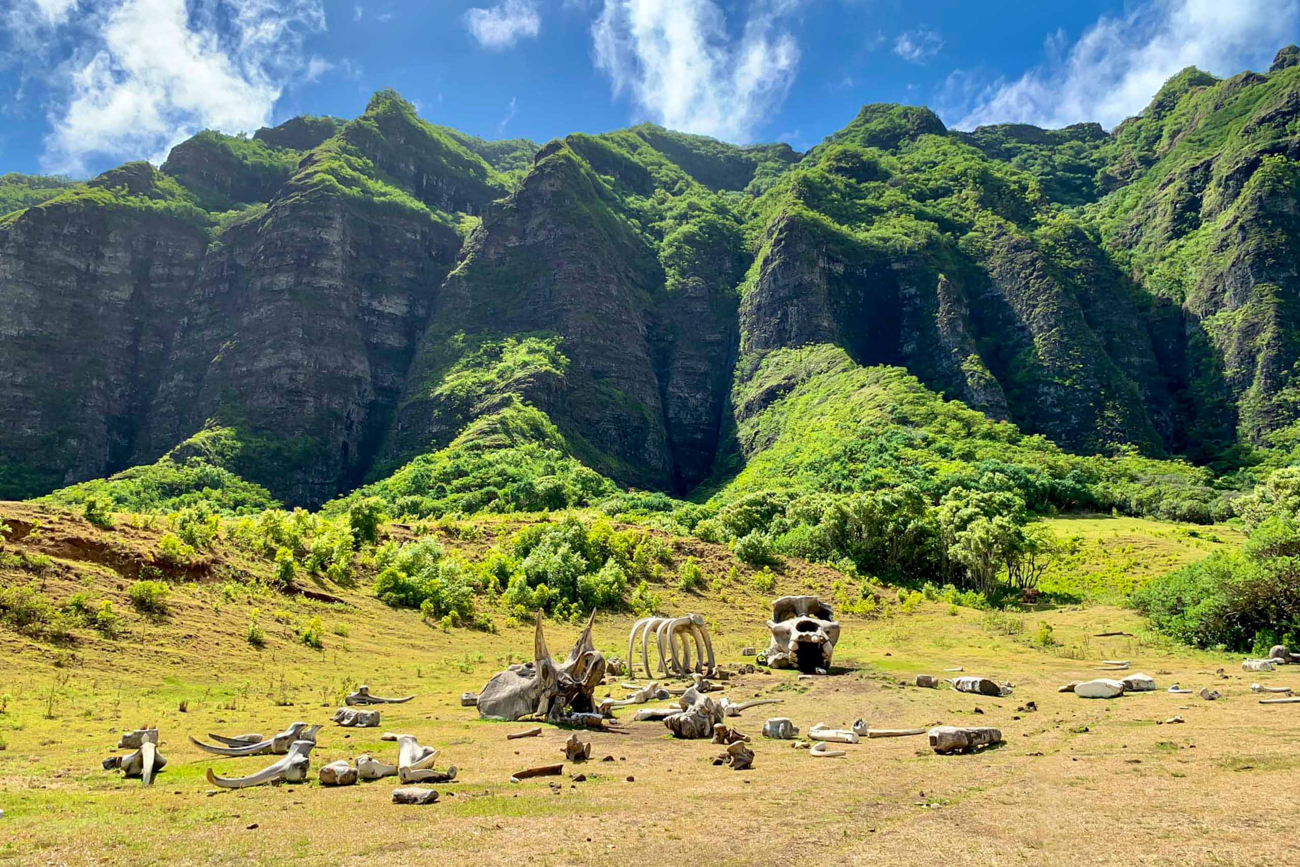 kualoaranch jayman built hawaii incentive group adventure jurassic park