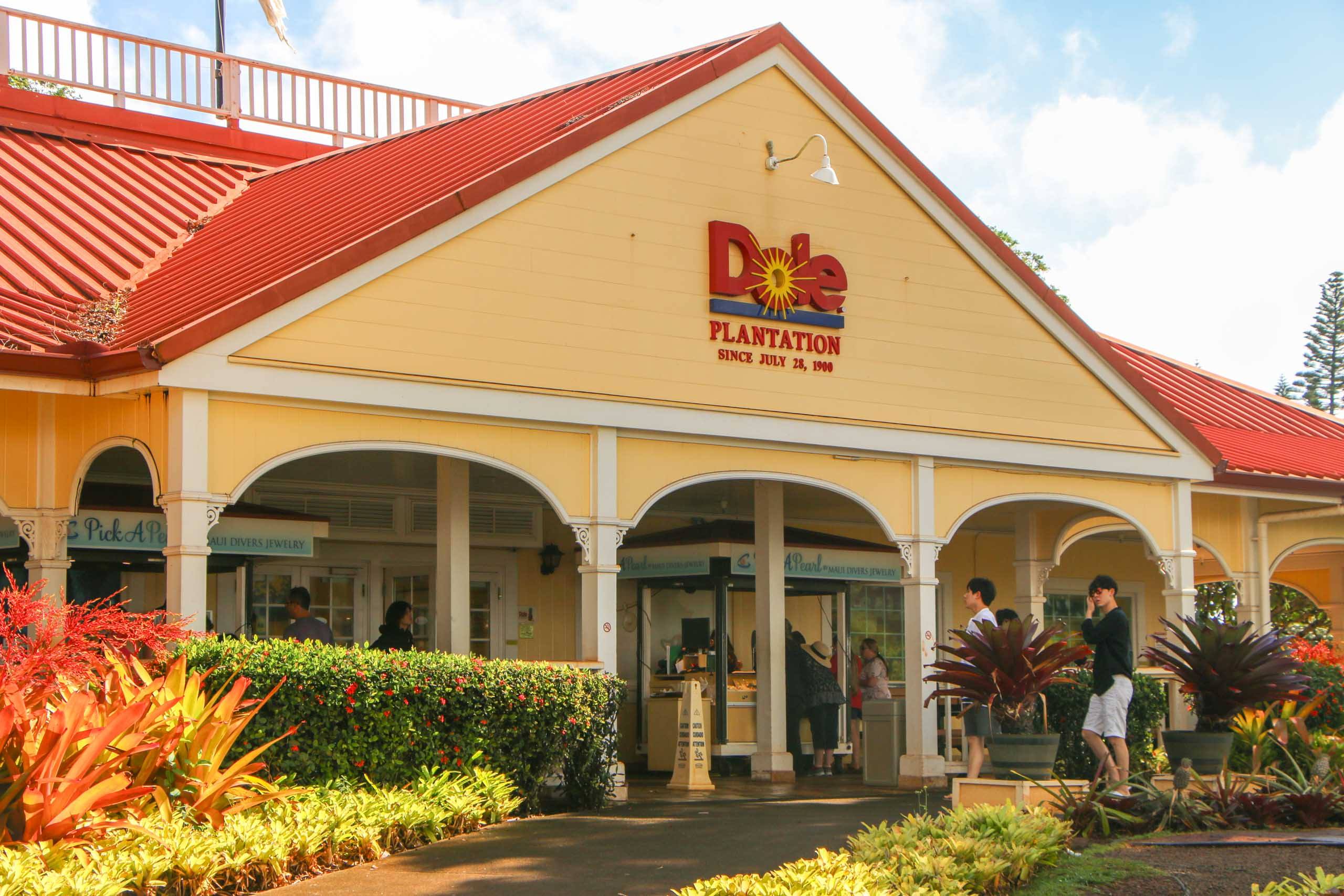 oahu jayman built hawaii incentive group oahu circle island the dole plantation