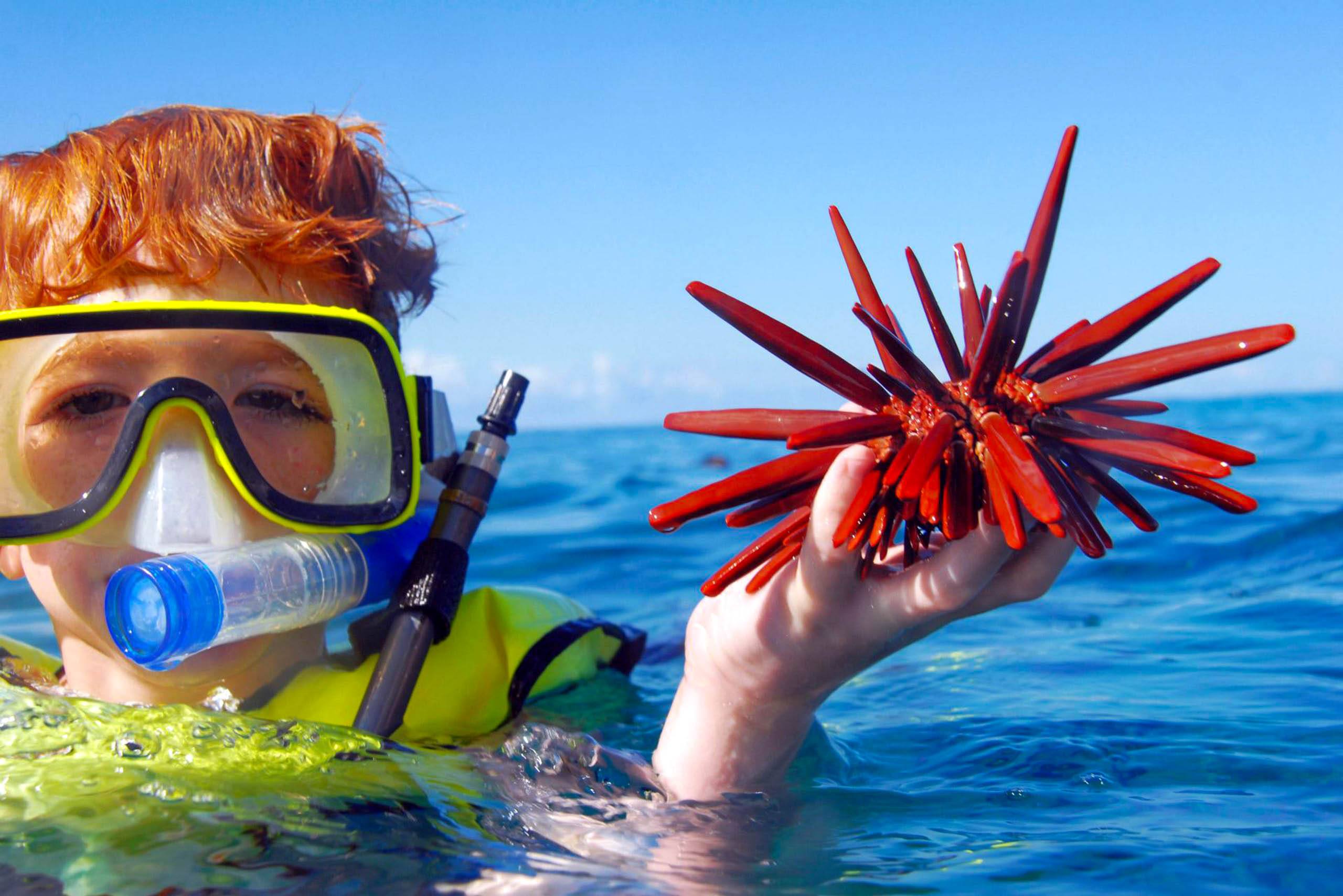 oceanjoycruises jayman built hawaii incentive group waianae snorkel kid starfish