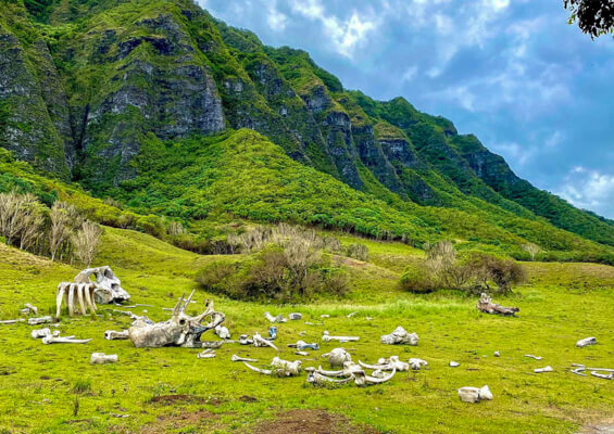 oahu zion church staff retreat training slide kualoa ranch hollywood movies site